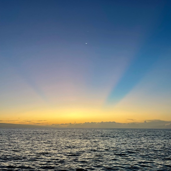 🌺 Bookmark My Closet! - Picture 5 of 5